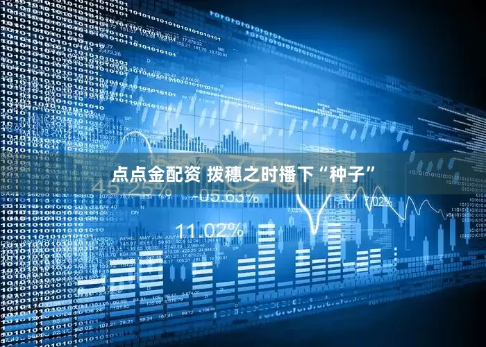 点点金配资 拨穗之时播下“种子”