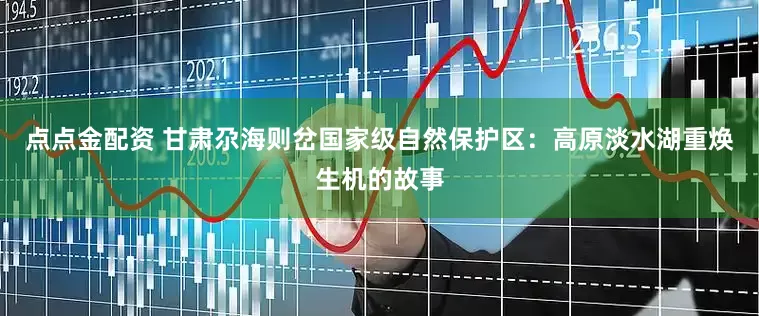 点点金配资 甘肃尕海则岔国家级自然保护区：高原淡水湖重焕生机的故事
