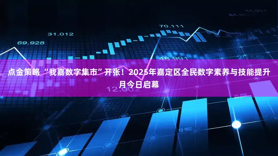 点金策略 “我嘉数字集市”开张!2025年嘉定区全民数字素养与技能提升月今日启幕